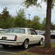 Illustration for article titled Cars and Coffee Charlotte, 10/5/19